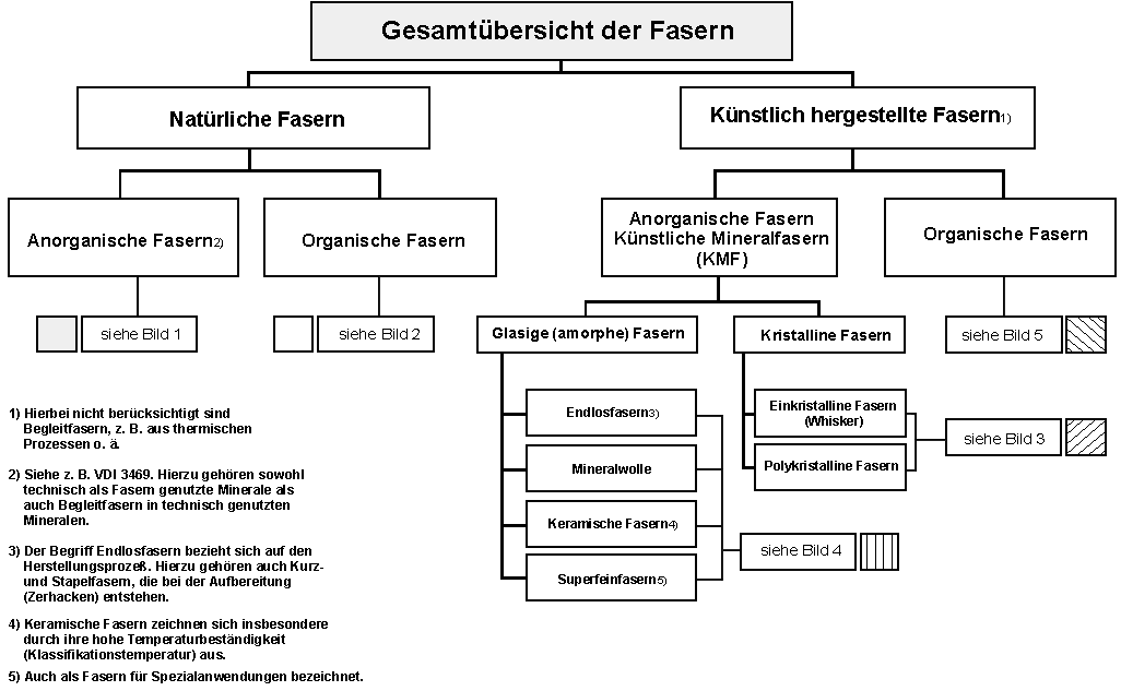Gesamt&uuml;bersicht der Fasern